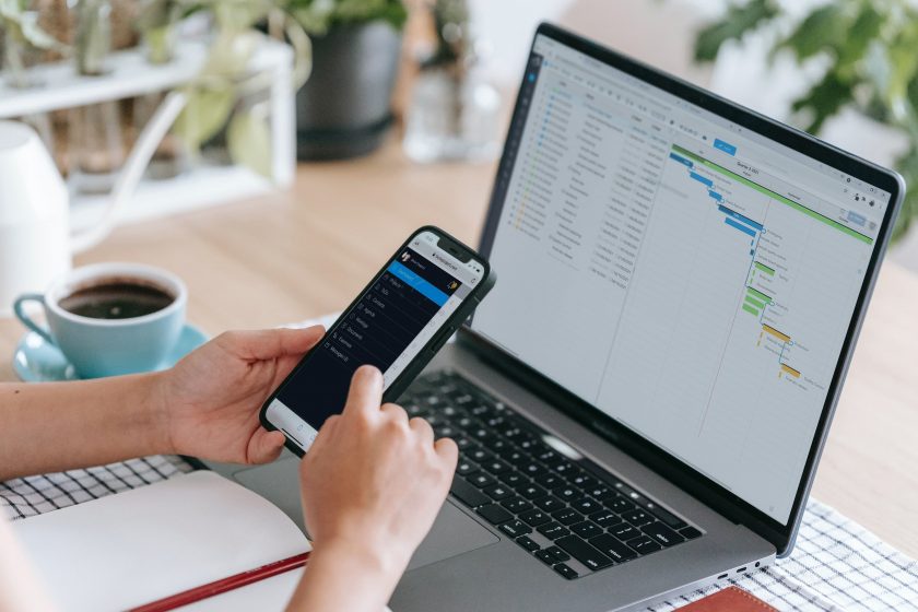 mobile app gantt Twproject