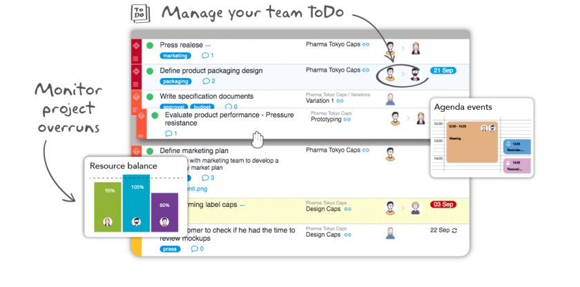 Twproject best project management software for IT companies