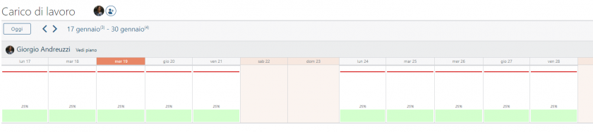 distribuzione del carico di lavoro