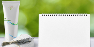 the product manager role