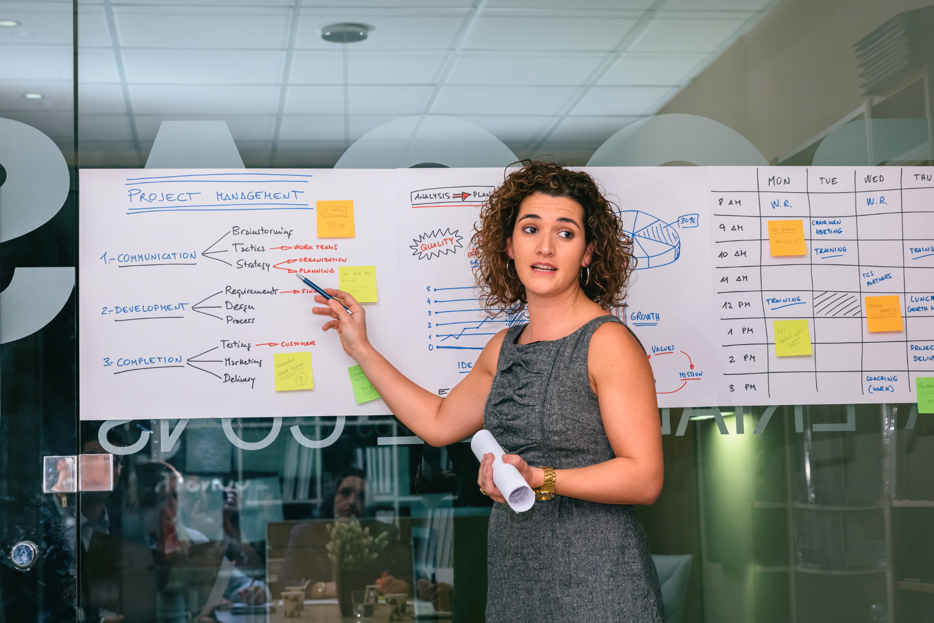 Visibilità del progetto twproject project management software